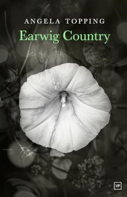 Book cover of: Earwig Country. By: Angela Topping