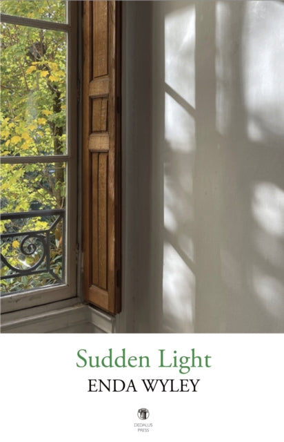 Book cover of: Sudden Light