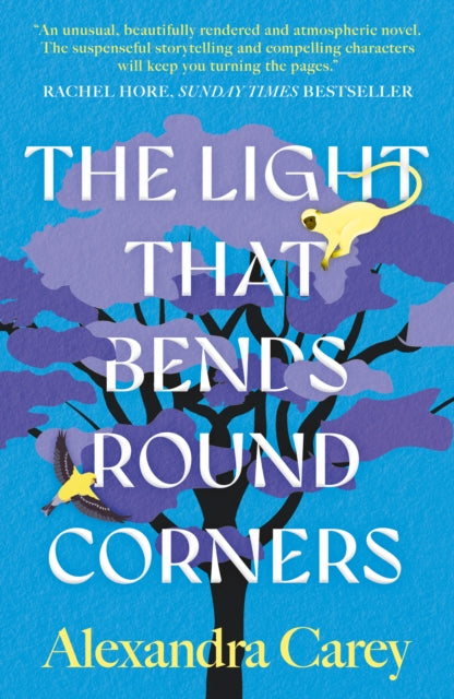 Book cover of: Light That Bends Round Corners. By: Alexandra Carey