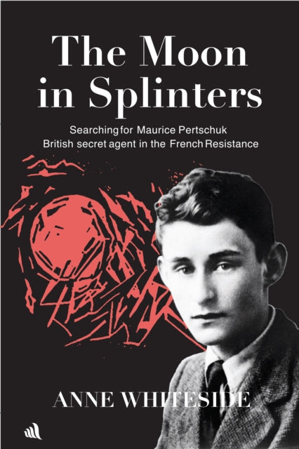 Book cover of: Moon in Splinters