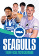 Book cover of: Official Seagulls Calendar 2026