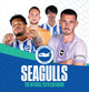 Book cover of: Official Seagulls Desk Calendar 2026
