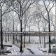 Book cover of: To Everything There is a Season. By: Matthew Sturgis