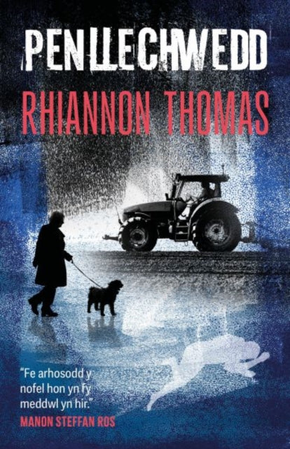 Book cover of: Penllechwedd