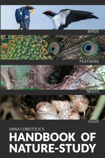 Book cover of: Handbook Of Nature Study in Color - Birds