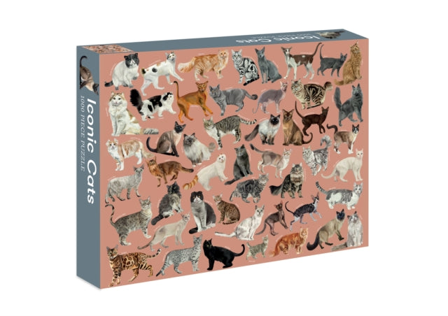 Book cover of: Iconic Cats. By: Marta Zafra