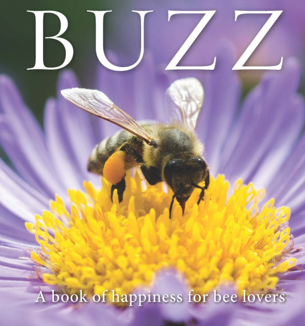 Book cover of: Buzz. By: Adam Langstroth