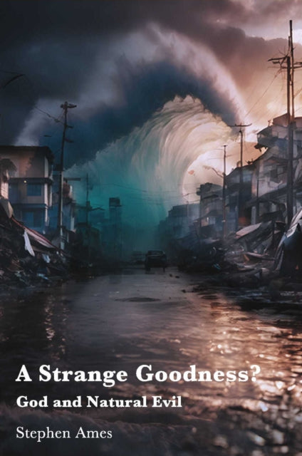 Book cover of: Strange Goodness?. By: Stephen Ames