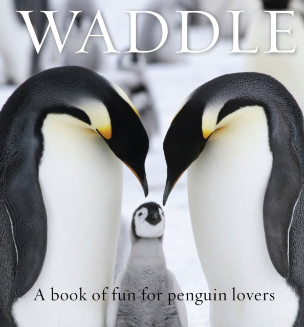 Book cover of: Waddle. By: Lloyd Spencer Davis