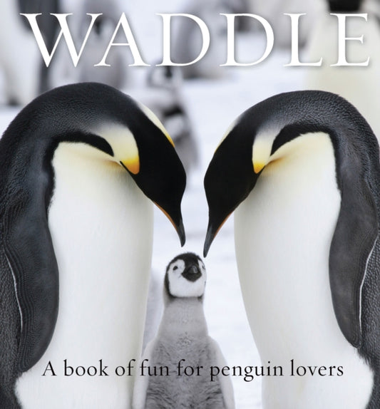 Book cover of: Waddle. By: Lloyd Spencer Davis