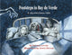 Book cover of: Footsteps in Bay de Verde. By: Charis Cotter