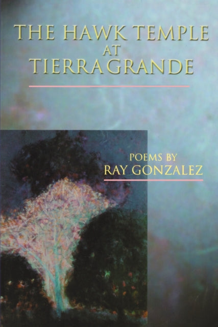 Book cover of: Hawk Temple at Tierra Grande