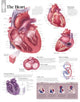 Book cover of: Heart Paper Poster. By: Scientific Publishing