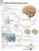 Book cover of: Understanding Depression Paper Poster