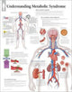 Book cover of: Understanding Metabolic Syndrome Paper Poster