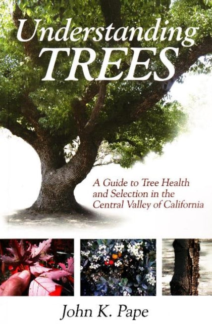 Book cover of: Understanding Trees. By: John K. Pape