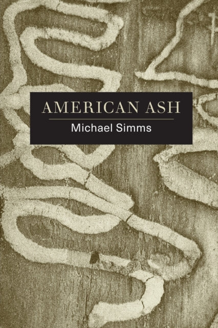 Book cover of: American Ash. By: Michael SIMMs
