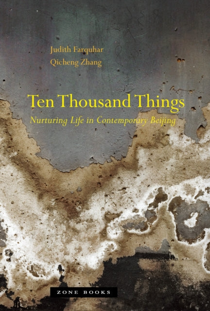 Book cover of: Ten Thousand Things. By: Judith Farquhar