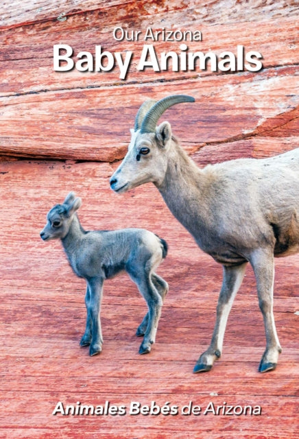Book cover of: Our Arizona: Baby Animals. By: Jerri Conrad