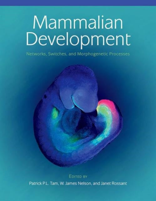 Book cover of: Mammalian Development: Networks, Switches, and Morphogenetic Processes