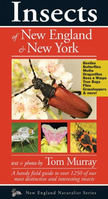 Book cover of: Insects of New England & New York