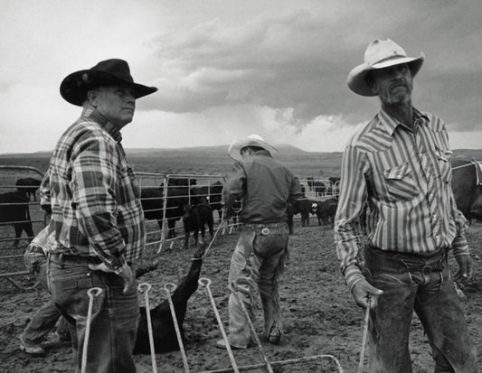 Book cover of: John Langmore - Open Range