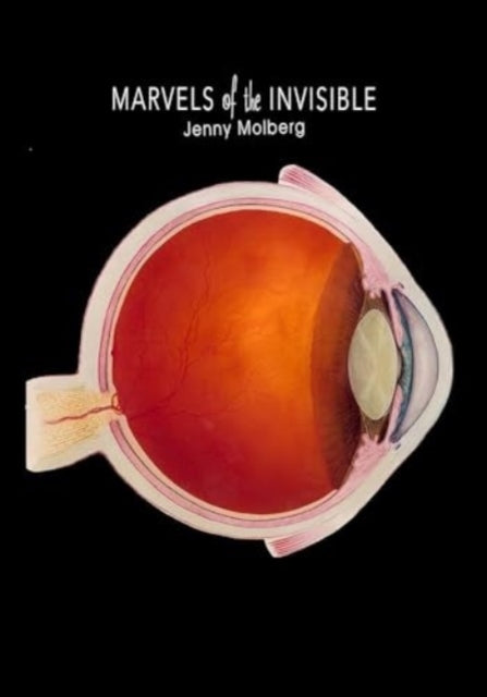 Book cover of: Marvels of the Invisible. By: Jenny Molberg