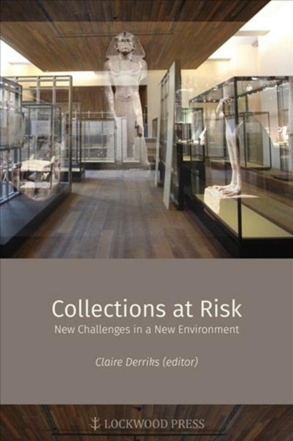 Book cover of: Collections at Risk. By: Luc Delvaux