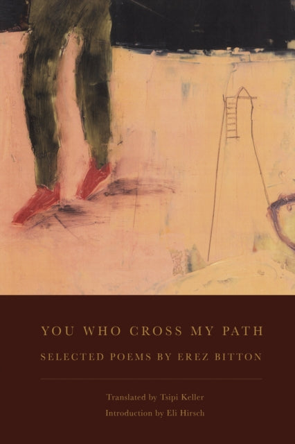 Book cover of: You Who Cross My Path. By: Erez Biṭon