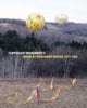 Book cover of: Temporary Monuments: Work by Rosemary Mayer, 1977-1982. By: Marie Warsh