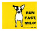 Book cover of: Run Fast Milo!. By: Julie Sola
