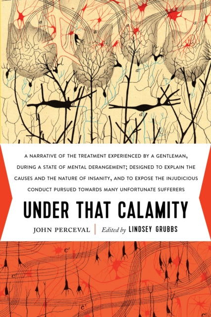 Book cover of: Under That Calamity. By: John Perceval