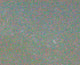 Book cover of: Aaron Rothman - Signal Noise. By: Aaron Rothman