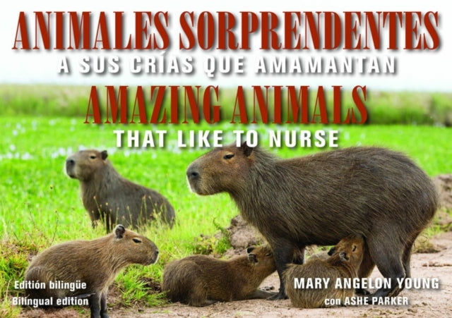 Book cover of: Animales Sorprendentes / Amazing Animals - English & Spanish Bilingual Edition. By: Mary Angelon Young