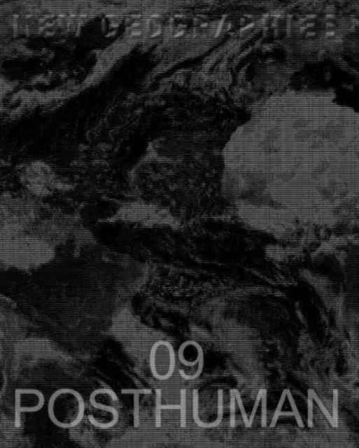 Book cover of: New Geographies 09
