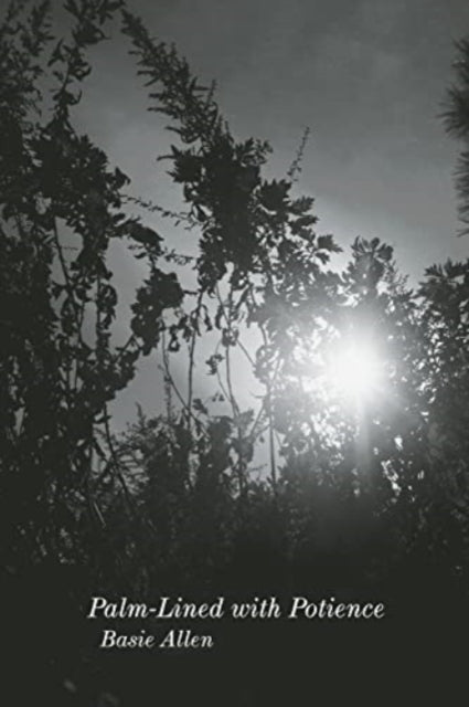 Book cover of: Palm-Lined with Potience. By: Basie Allen