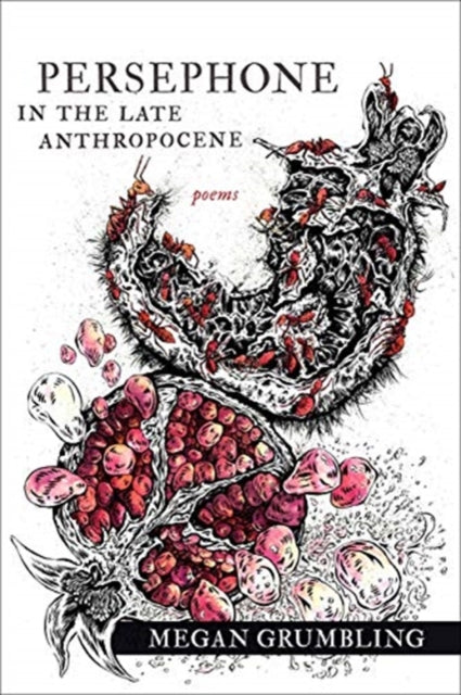 Book cover of: Persephone in the Late Anthropocene – Poems. By: Megan Grumbling