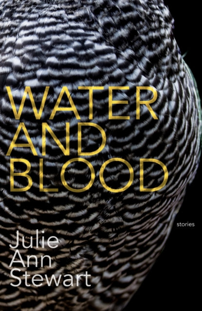 Book cover of: Water and Blood. By: Julie Stewart