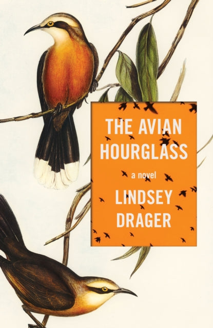Avian Hourglass 9781950539970 Lindsey Drager