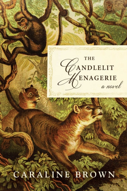 Book cover of: Candlelit Menagerie. By: Caraline Brown