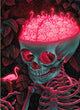 Book cover of: Birdbrain