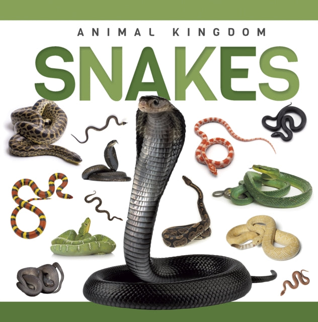 Book cover of: Snakes. By: Rebecca Phillips-Bartlett