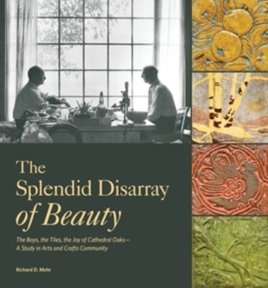 Book cover of: Splendid Disarray of Beauty. By: Richard D. Mohr