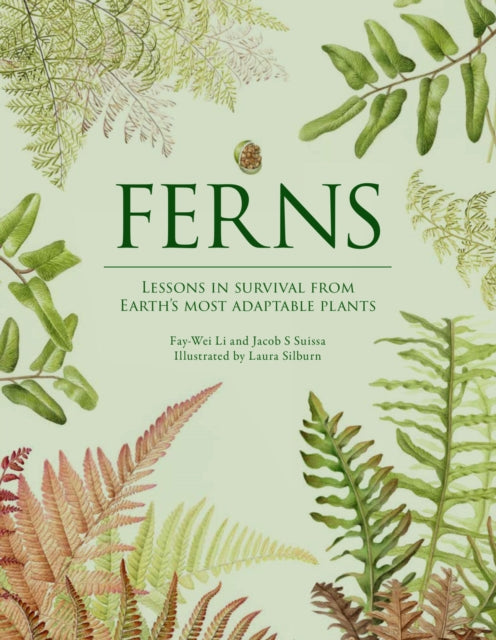 Book cover of: Ferns. By: Fay-Wei Li