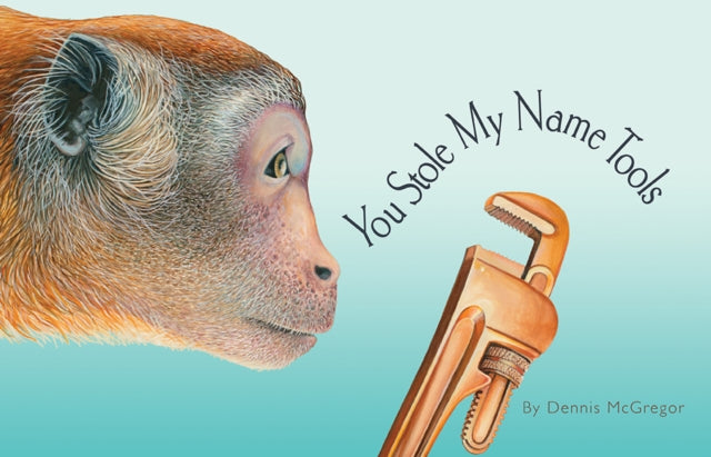 Book cover of: You Stole My Name Tools