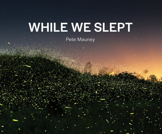 Book cover of: While We Slept. By: Pete Mauney