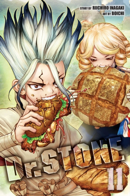 Book cover of: Dr. STONE, Vol. 11. By: Riichiro Inagaki