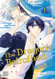Book cover of: Dragon's Betrothed, Vol. 1. By: Meguru Hinohara