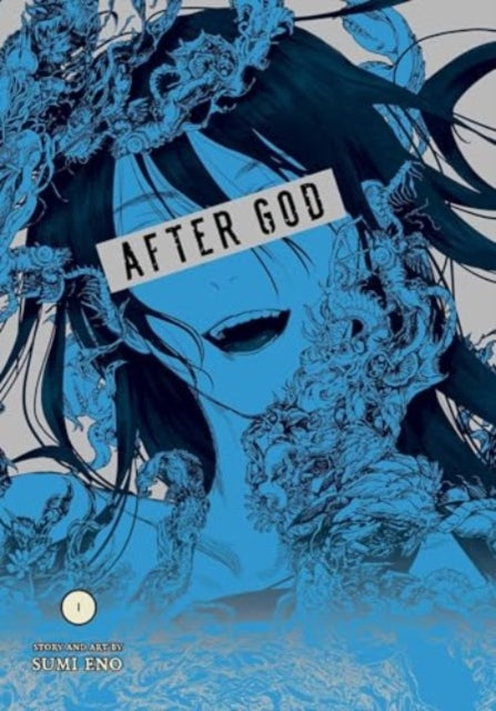 After God, Vol. 1 9781974749706 Sumi Eno