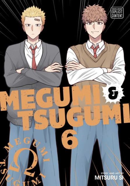 Book cover of: Megumi & Tsugumi, Vol. 6